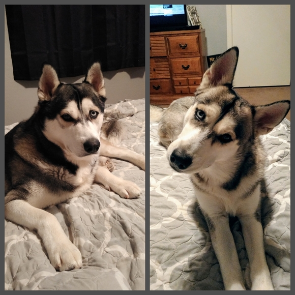 Meet your Posher, Mindi - Picture 4 of 12